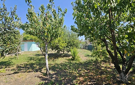 ID 14348 Дом в Трыстиково Фото 10