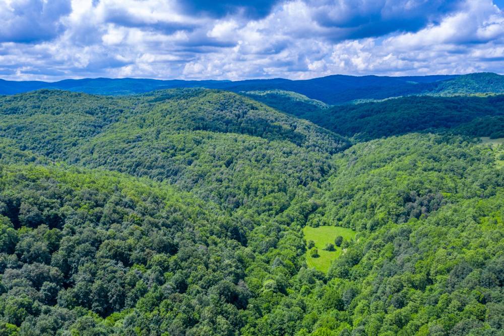Лесистые горы Родопы – символ Болгарии