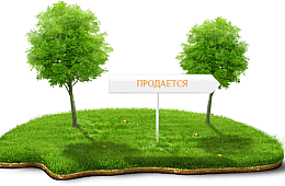 Процесс покупки земельного участка