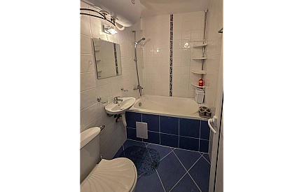 ID 15649 Квартира-студия в Абелия Резиденс Фото 4