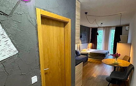 ID 15490 Квартира-студия в Санни Вью Централ Фото 8