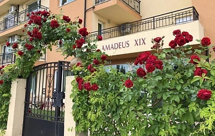 ID 14569 Квартира-студия в Амадеус 19 Фото 7