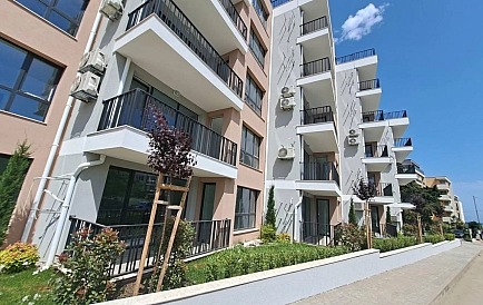 ID 14906 Двухкомнатная квартира в Азуро Бич Фото 7