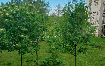 ID 14896 Квартира-студия в Несебр Форт Фото 9