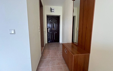 ID 15610 Квартира-студия в Орхид Форт Гарден Фото 8