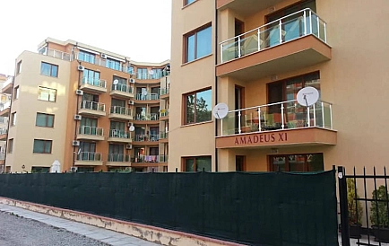 ID 15600 Квартира-студия в Амадеус 11 Фото 9