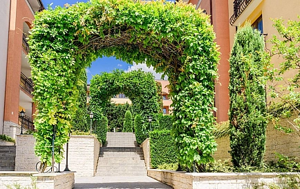 ID 12836 Квартира-студия в Галерея Фото 2