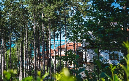 ID 82 Курортный поселок в Созополе Фото 8