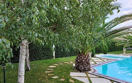 ID 9134 Вилла в Эден Парк Фото 8