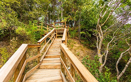 ID 9387 Квартиры от застройщика в Опен Си Резиденс Фото 5