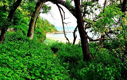 ID 2575 Вилла Бистра Фото 2