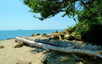 ID 2575 Вилла Бистра Фото 8