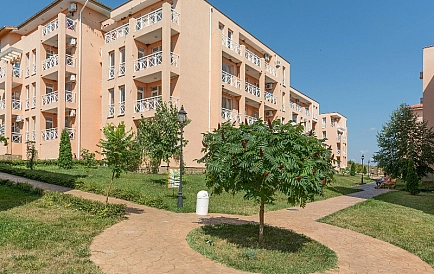 ID 280 Санни Дэй 6 Фото 4