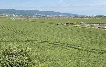 ID 8624 Квартира-студия в Санни Дей 5 Фото 8