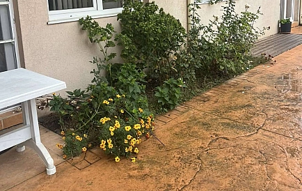 ID 14972 Двухкомнатная квартира в Балкан Бриз 2 Фото 5