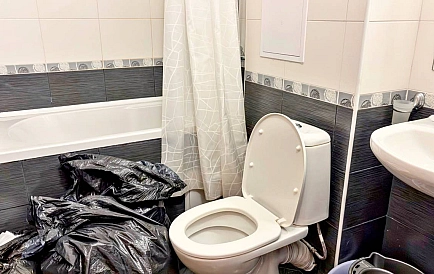 ID 15493 Квартира-студия в Райский Сад Фото 4