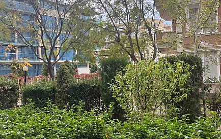 ID 14972 Двухкомнатная квартира в Балкан Бриз 2 Фото 10