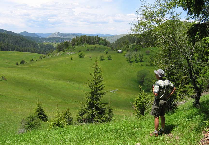 Турист смотрит на зеленую равнину