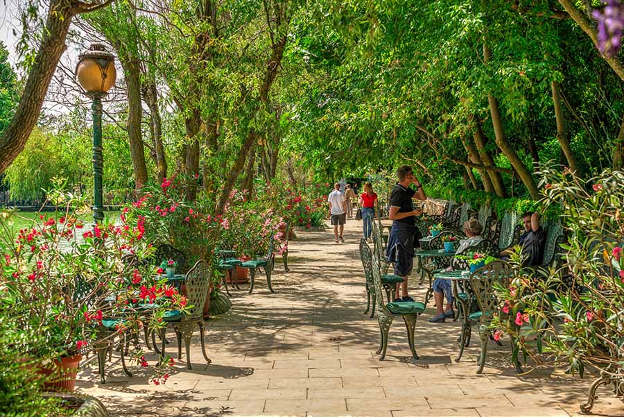 Ботанический сад в замке Равадиново